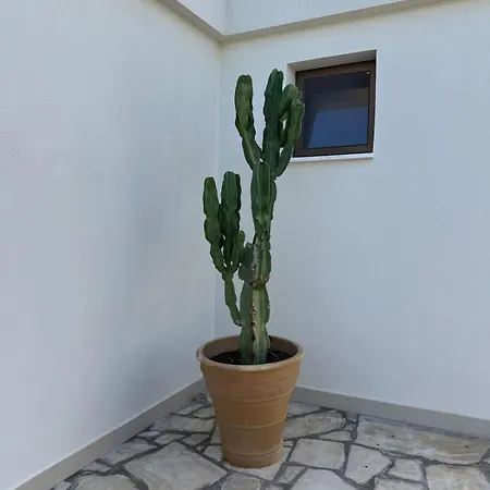 Seaview With Private Pool - 5 Min From * Neo Chorio